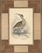 Marshland Bittern Poster Print by Alastair Reynolds - Item # VARPDXCC2901